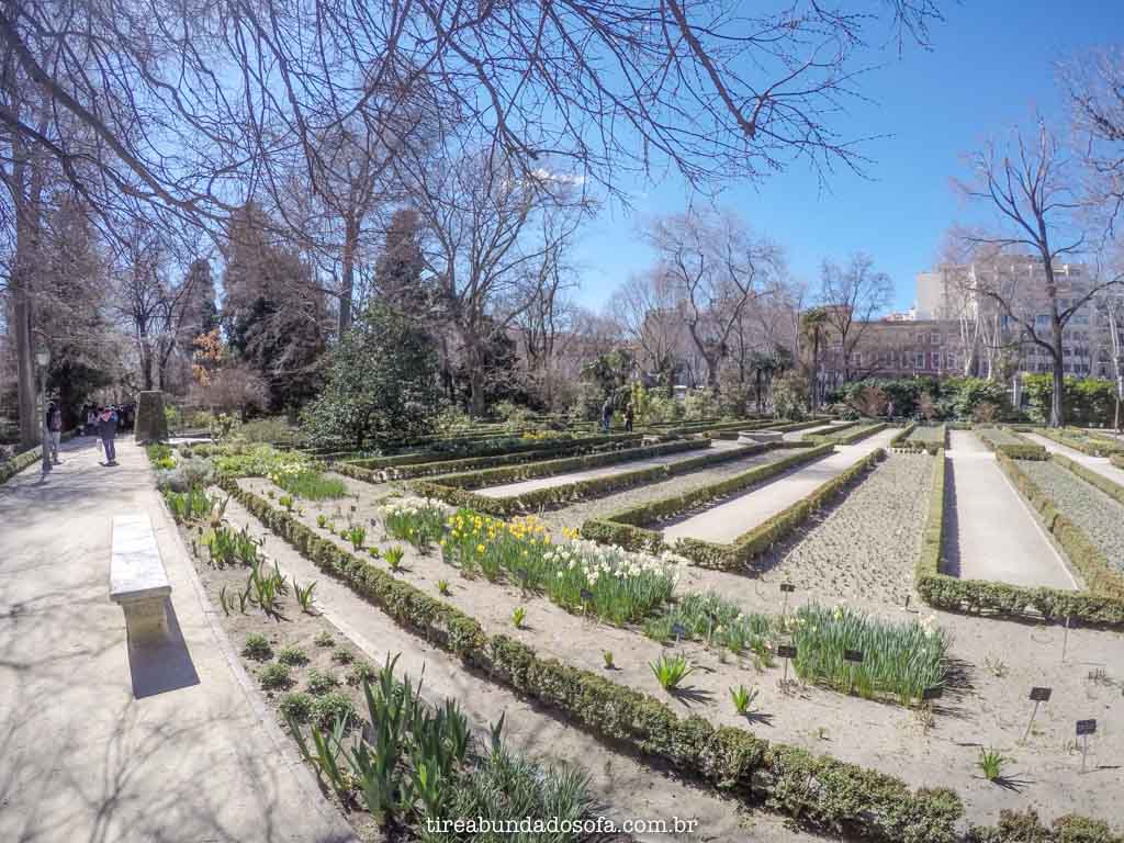 Real Jardim Botânico de Madrid, na Espanha