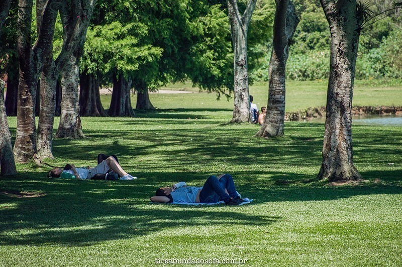 pessoas descansando no parque barigui em Curitiba