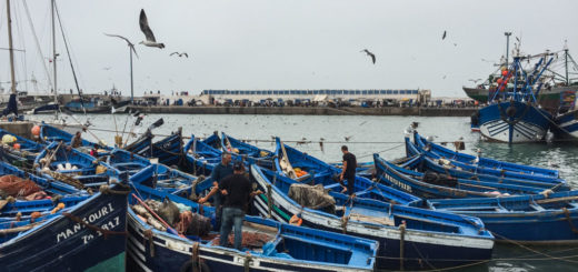 O dia a dia dos pescadores, em Essaouira, Marrocos