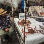 pescador vendendo frutos do mar frescos, em essaouira, marrocos