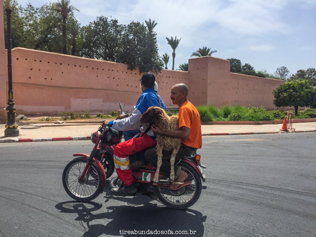 transporte em marrakech