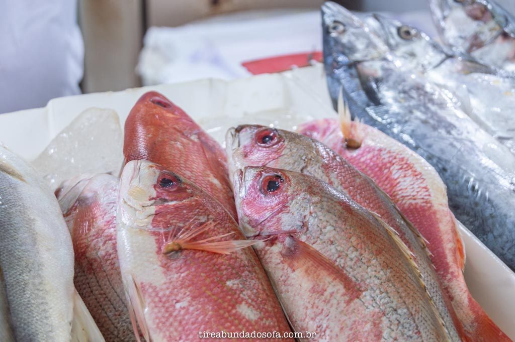 peixes frescos, para vender no mercado de peixes, em peruíbe, são paulo