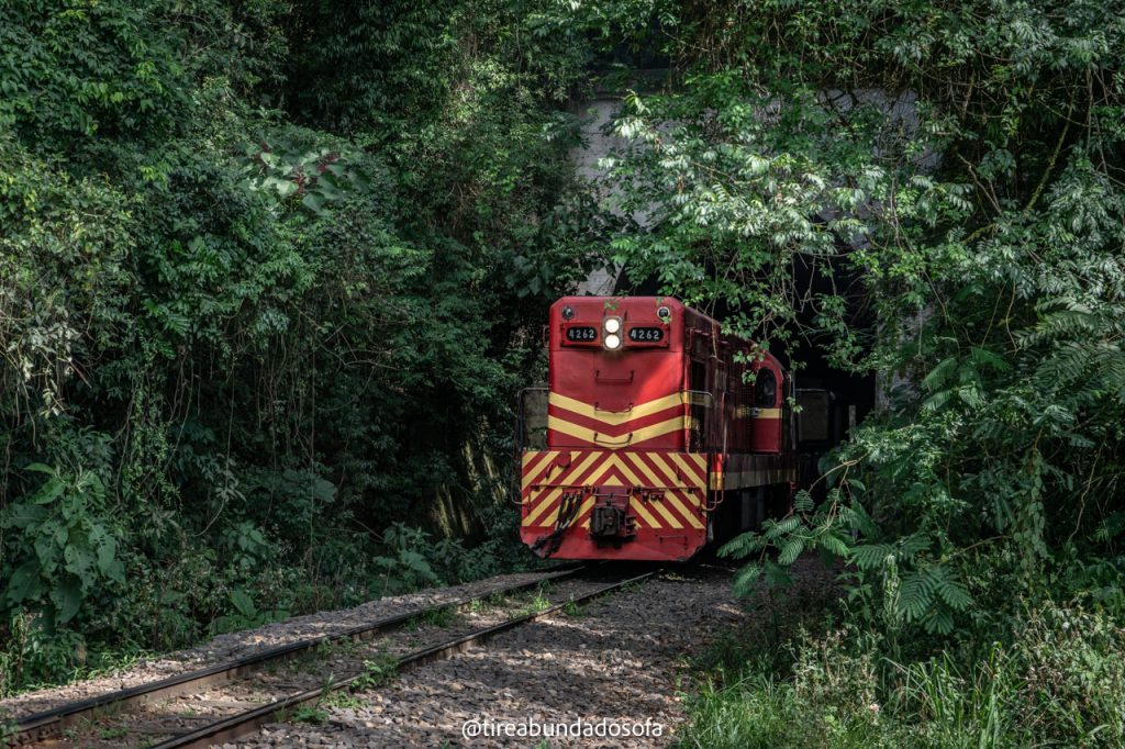 locomotiva saindo do viaduto mula preta
